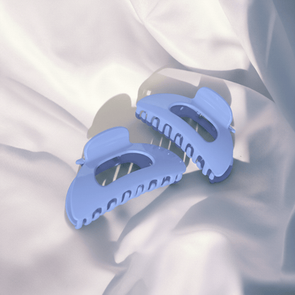 2 Blue Butterfly Clip Laying On A Blanket